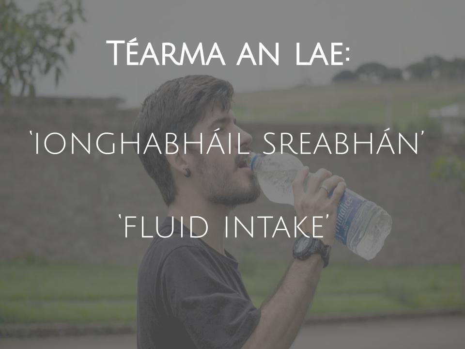 tearma_ie's tweet photo. Téarma an lae ó https://t.co/OjYP67wMNh #ionghabháilsreabhán #fluidintake #leChéile #téarmaanlae #termoftheday #téarmaíocht #terminology #téarma #term #teanga #language #gaeilge #irish https://t.co/AnYdcJZjEn