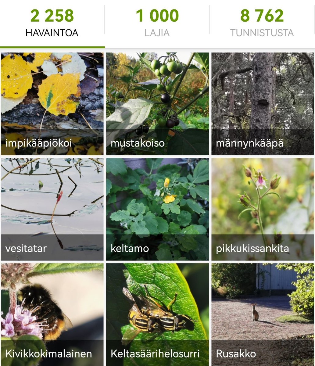 Jani Järvi tweet media