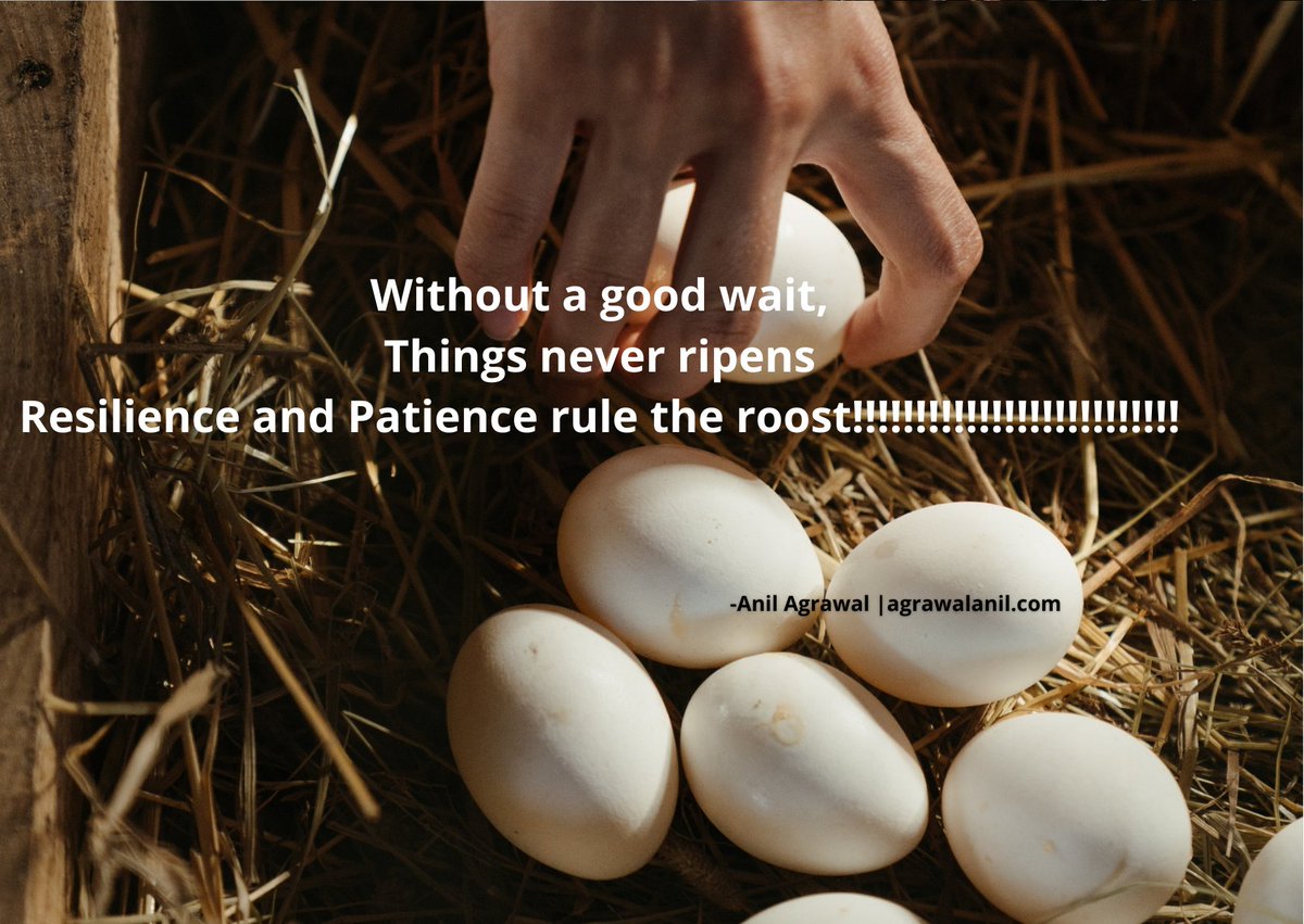 anil_agrawal0's tweet photo. #Without a #good #wait,
#Things #never #ripens
#Resilience and #Patience #rule the #roost!!!!!!!!!!!!!!!!!!!!!!!!!! https://t.co/KGTQlTYjVc