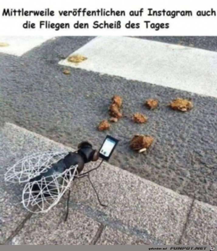Ich bin ja nicht bei Instagram, ist das so?🤔🤣