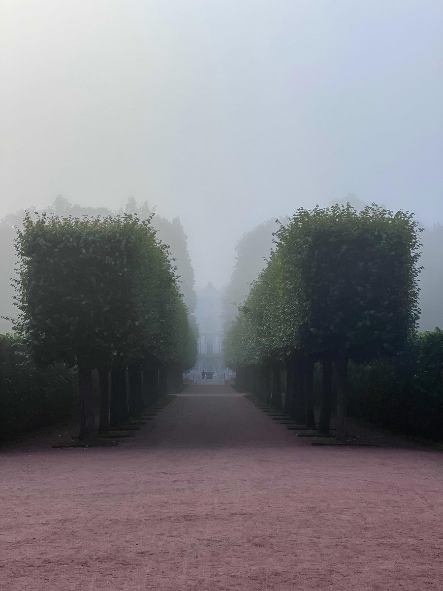 🇬🇧 A good foggy morning in the Old Garden of the Catherine Park
📷 Maria Skrypnik
🇷🇺 Доброе туманное утро в Старом саду Екатерининского парка