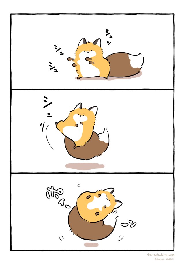 パンチパンチキック🦊💥 