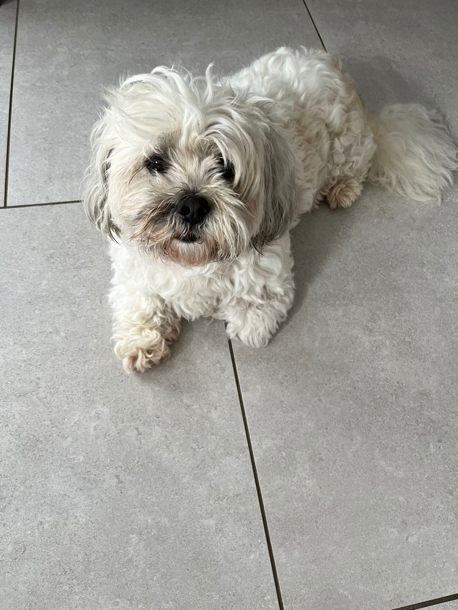 Simon Stephens tweet media