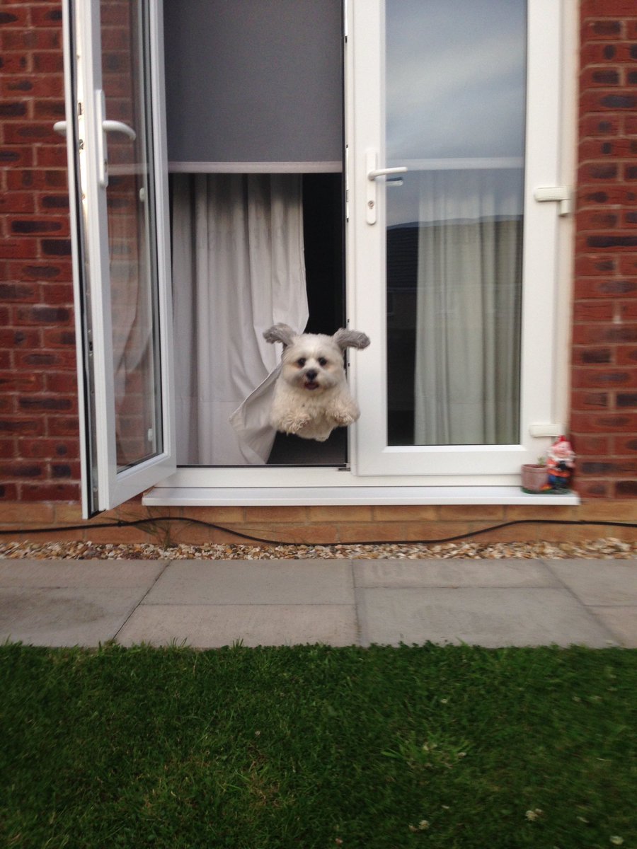 Simon Stephens tweet media