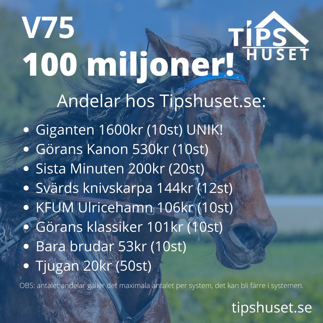 Laddar för travhelg! Häng med på sajten 🥳