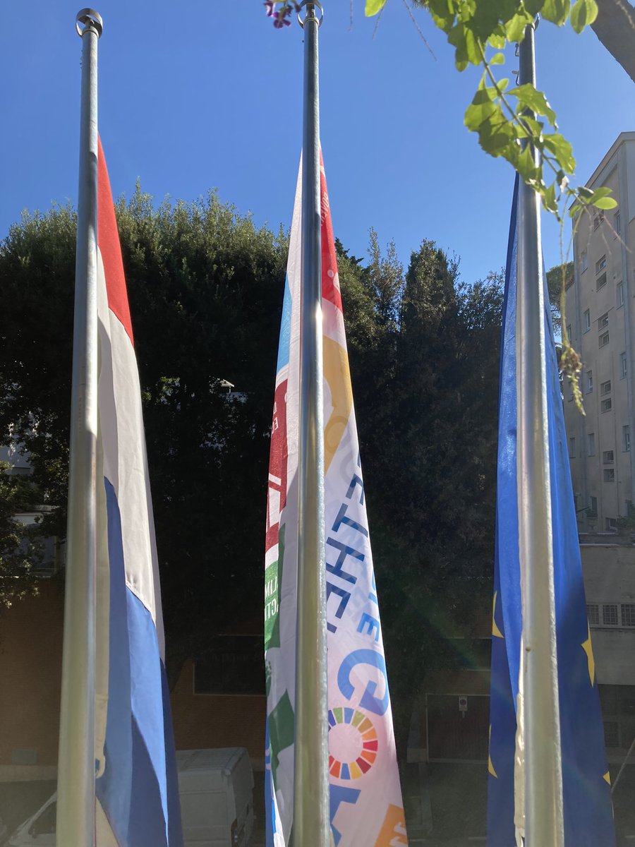 Today the Permanent Representation of The Netherlands 🇳🇱 🇪🇺 to @FAO @WFP and @IFAD is waving three flags. 

#togetherforthesdgs #SDGaction #Act4SDGs
