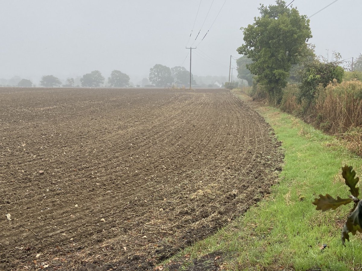 Kittywitches's tweet photo. Good morning from serene South Norfolk. Have a calm and lovely day…😁 #LoveNorfolk #Autumn #Septmber https://t.co/jIHrFhu5N1