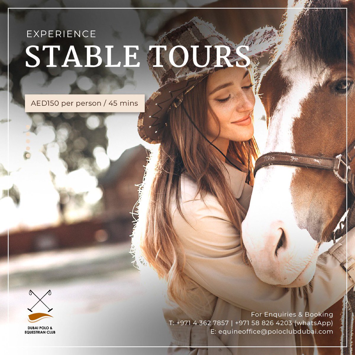 Enjoy an exclusive behind-the-scenes peak into our stables and experience being up close and personal to some of our academy Polo ponies. 
 
The stable tour is happening on weekends for only for AED 150 per person.
 
For bookings, contact +971 4 362 7857 or +971 58 826 4203