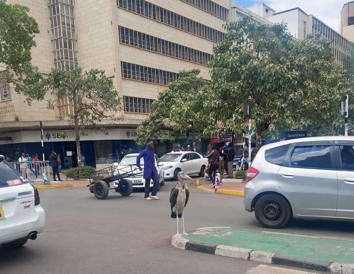 Painful....shida yet huwa nini haswaa aki...