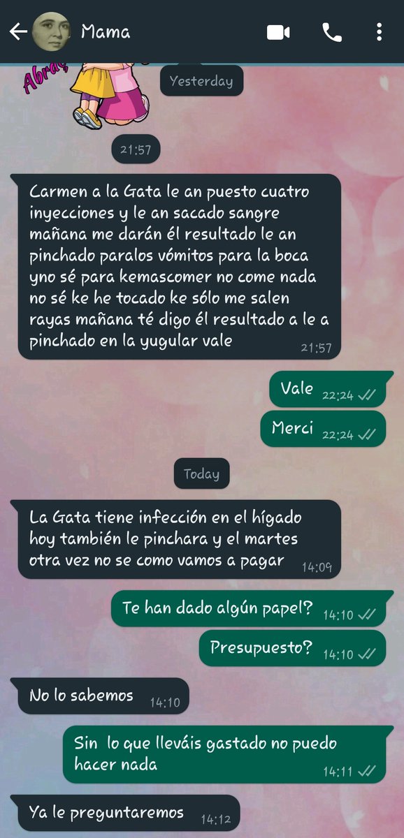 Holi! Esta es Arya. La adopté en 2010 y por circunstancias de la vida pasó un tiempo en casa de mis padres y luego mi madre ya no me dejó llevármela. Se enamoró de ella.  Arya pesaba 12 kg y ahora mismo pesa 5kg. No está comiendo nada. Y está enferma.