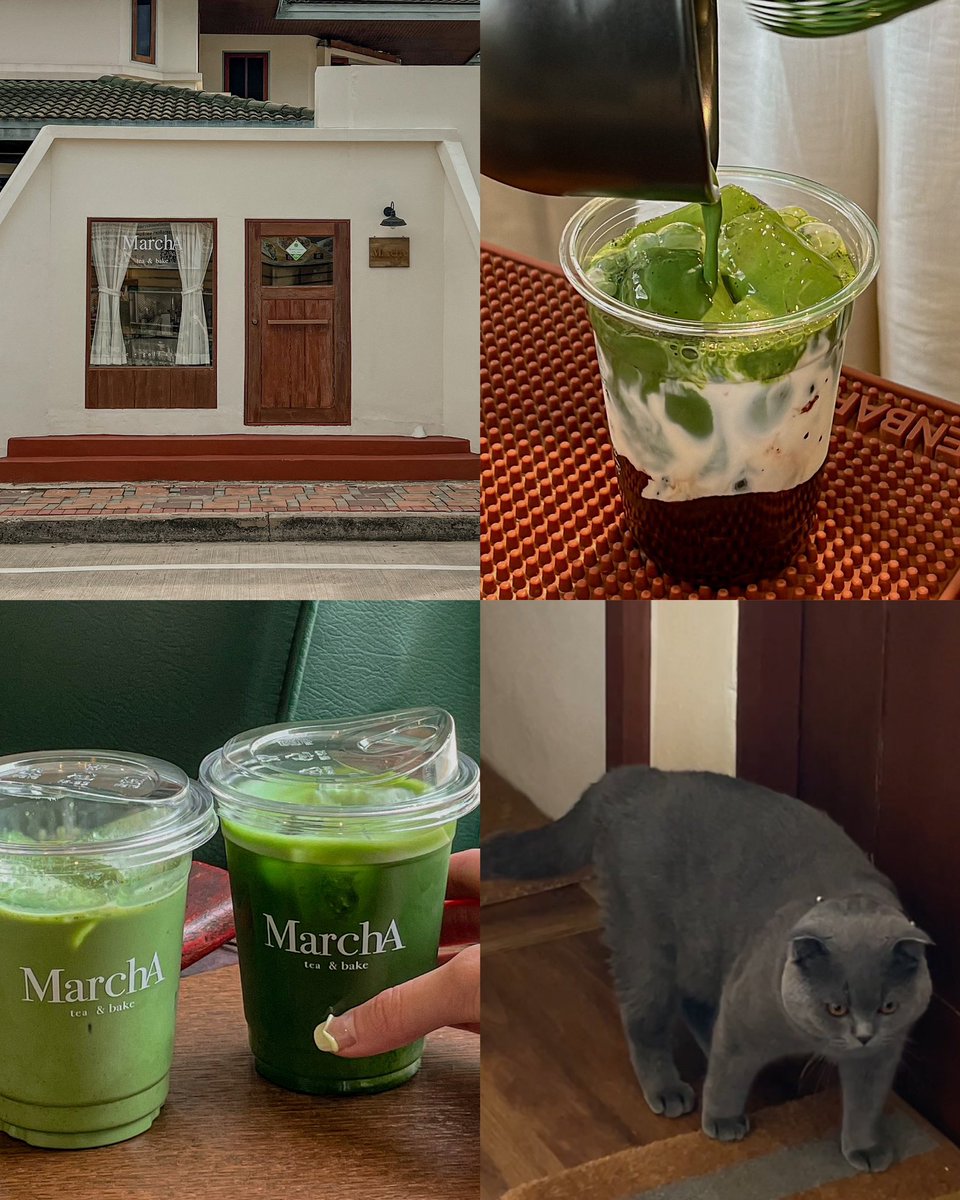 triplemuays's tweet photo. MarchA 🍵
          ร้านชาเขียวดี ๆ เปิดใหม่พัทยา 🥰 ร้านเล็ก ๆ มีแค่ 4 ที่นั่งเองแต่ชาเขียวดีค่ะ ชอบ matcha latte สุด เลือกเป็นผง Fukuoka หอมอร่อย น้องอุด้งเจ้าของร้านก็น่ารัก ตัวแน่นเชียว 🐱

📌ถนนพัทยา - นาเกลือ

@aroii @Kin24hrs @CAFETELLER https://t.co/kU6CERPwh1