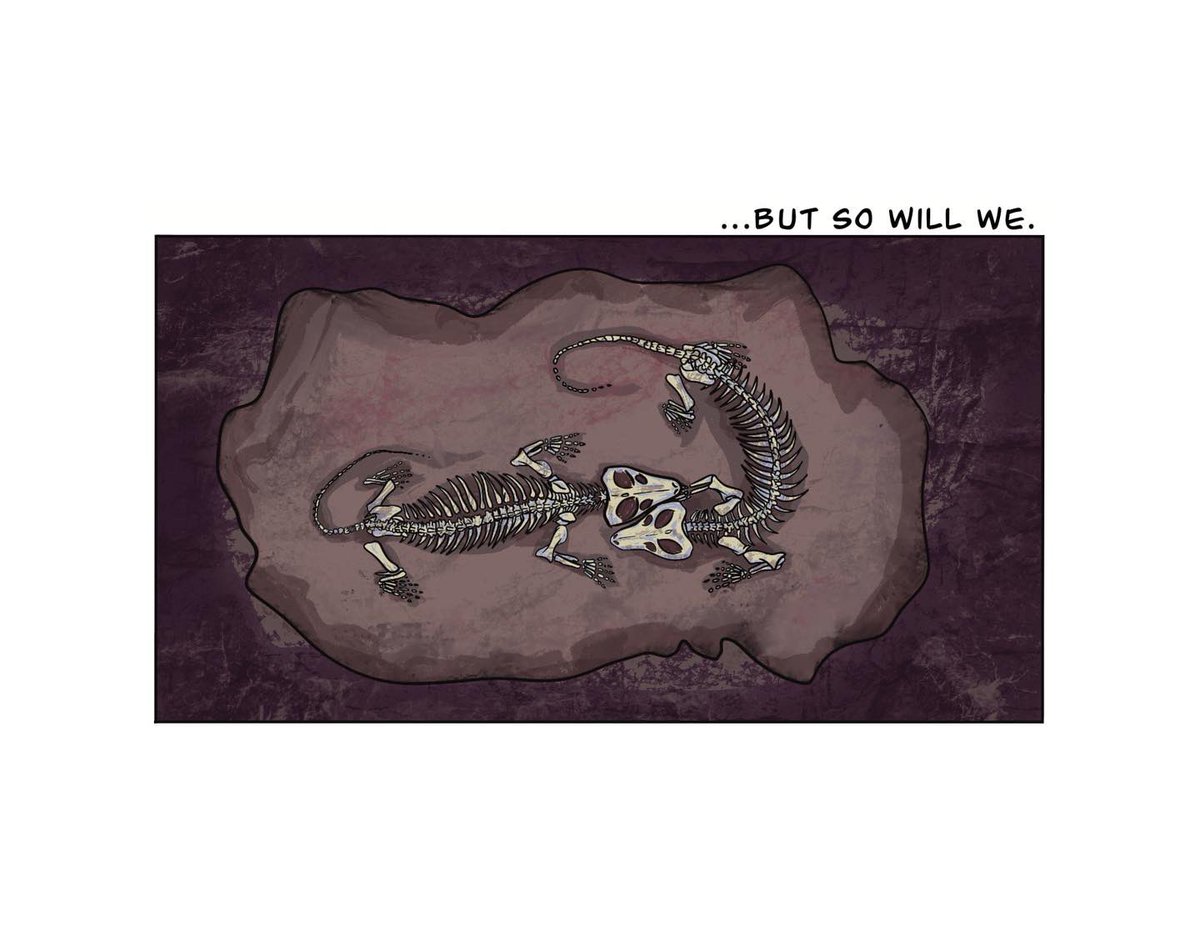 Grace Varnham tweet media