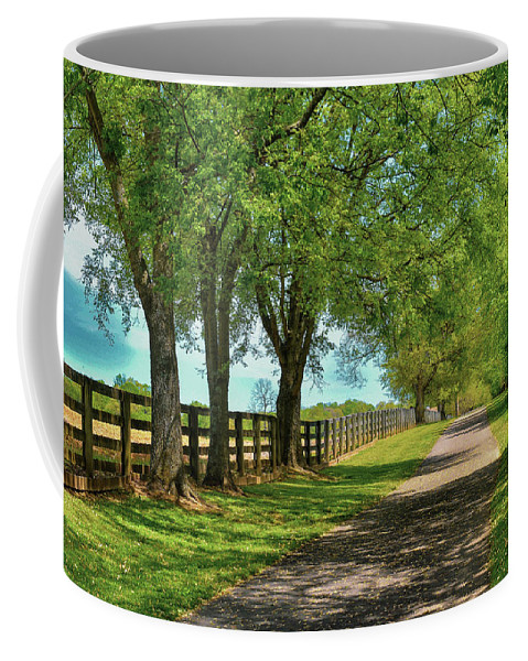denisew428's tweet photo. #coffeelovers #coffeemugs #giftideas #serenitypath #mugs #coffeemug #BuyIntoArt #ShopEarly get it here!
https://t.co/d5HHUK7k2s https://t.co/hfsFsd8UUy