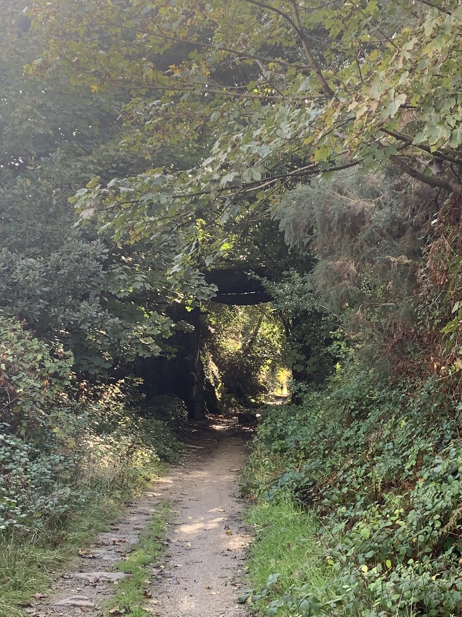 cassiemundo's tweet photo. @RunComPod here’s my run at ‘Moonscape’ today, I think you’d love it there! #cornwallrunning #moonscape #cornishhistory https://t.co/Trd5dISY52