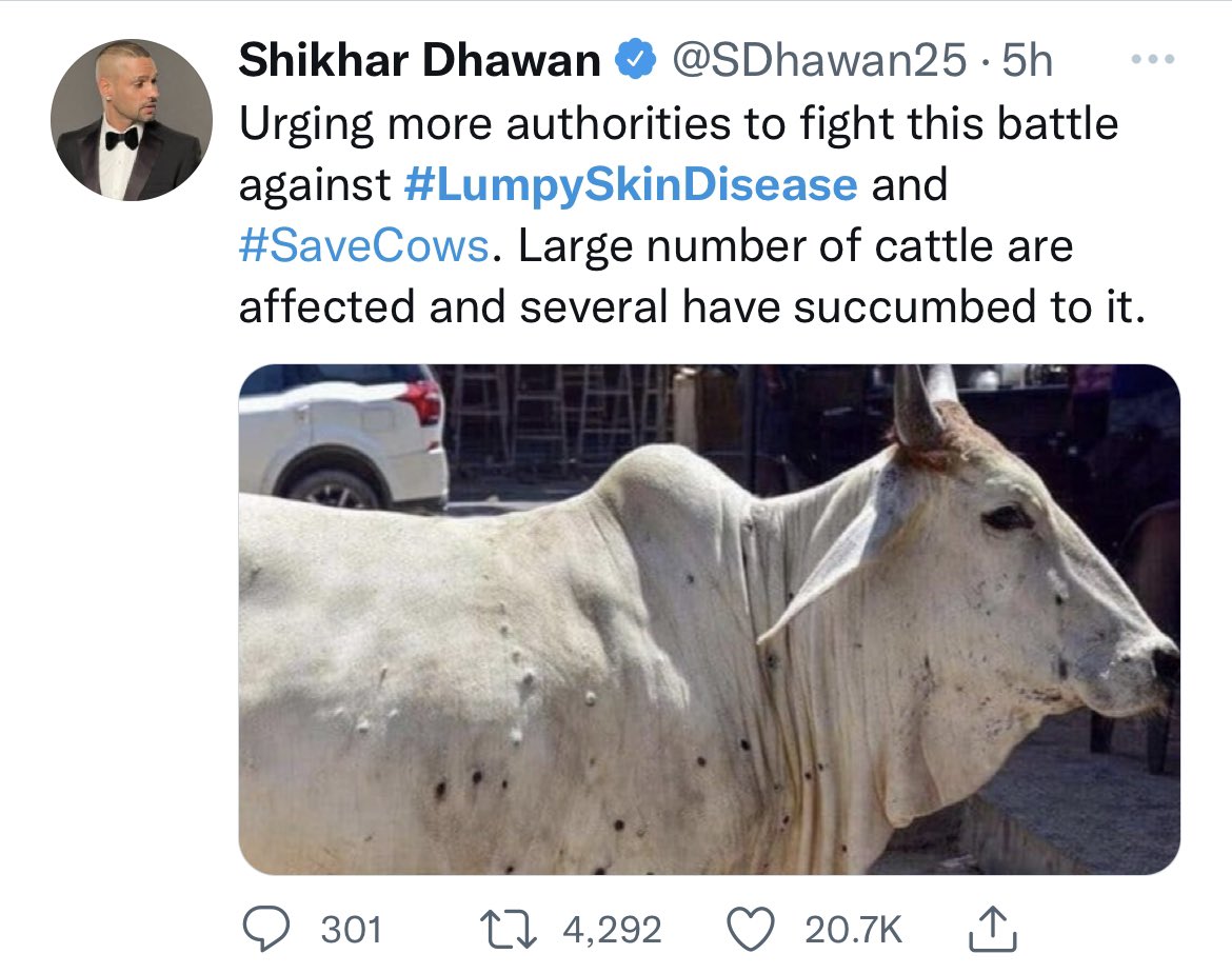 KumaarSaagar's tweet photo. कोई मर्द तो कम से कम सामने आया गौ माता के लिए 

शुक्रिया शिखर धवन भाई 🙏

@SDhawan25 https://t.co/OUBu8VrbI8