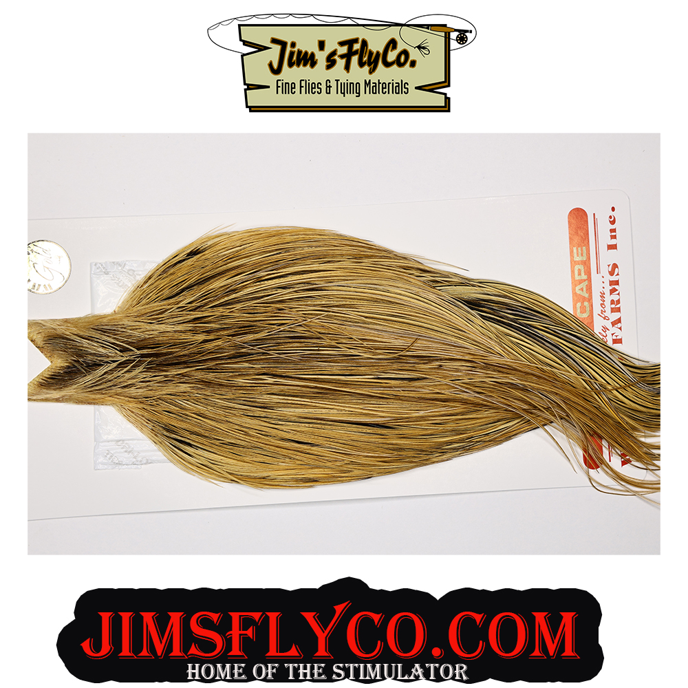 Find the Whiting Farms Capes or Saddles you need at 
 jimsflyco.com
Join our Facebook Group facebook.com/groups/1877560… 
:
#flytying #whitingfarms #flyfishing #dryflies       #saltwaterflyfishing  #onthefly #bassfishing #muskiefishing #pikefishing #dryflyhackle