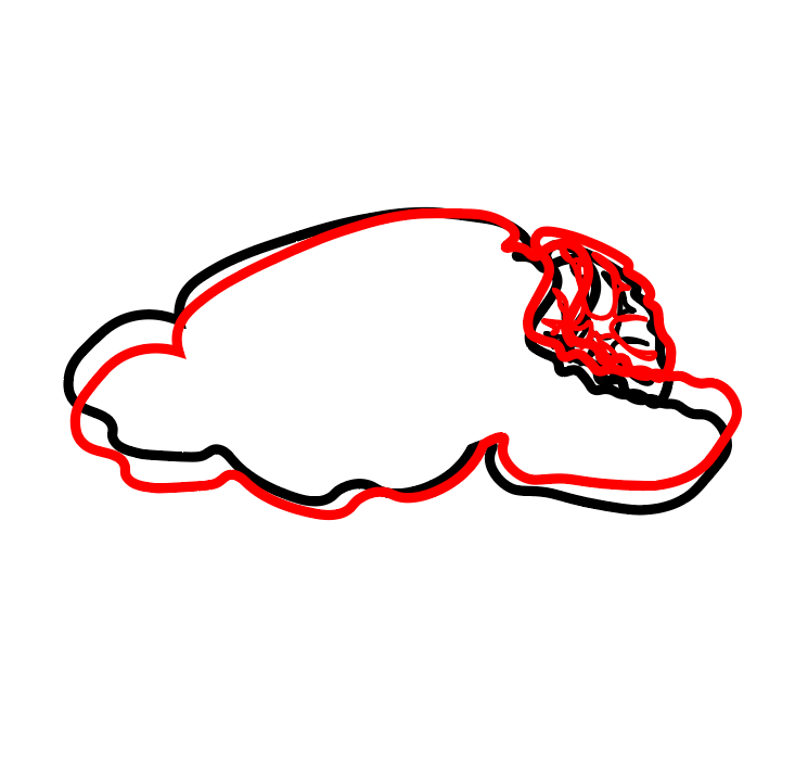 Guido Meijer tweet media