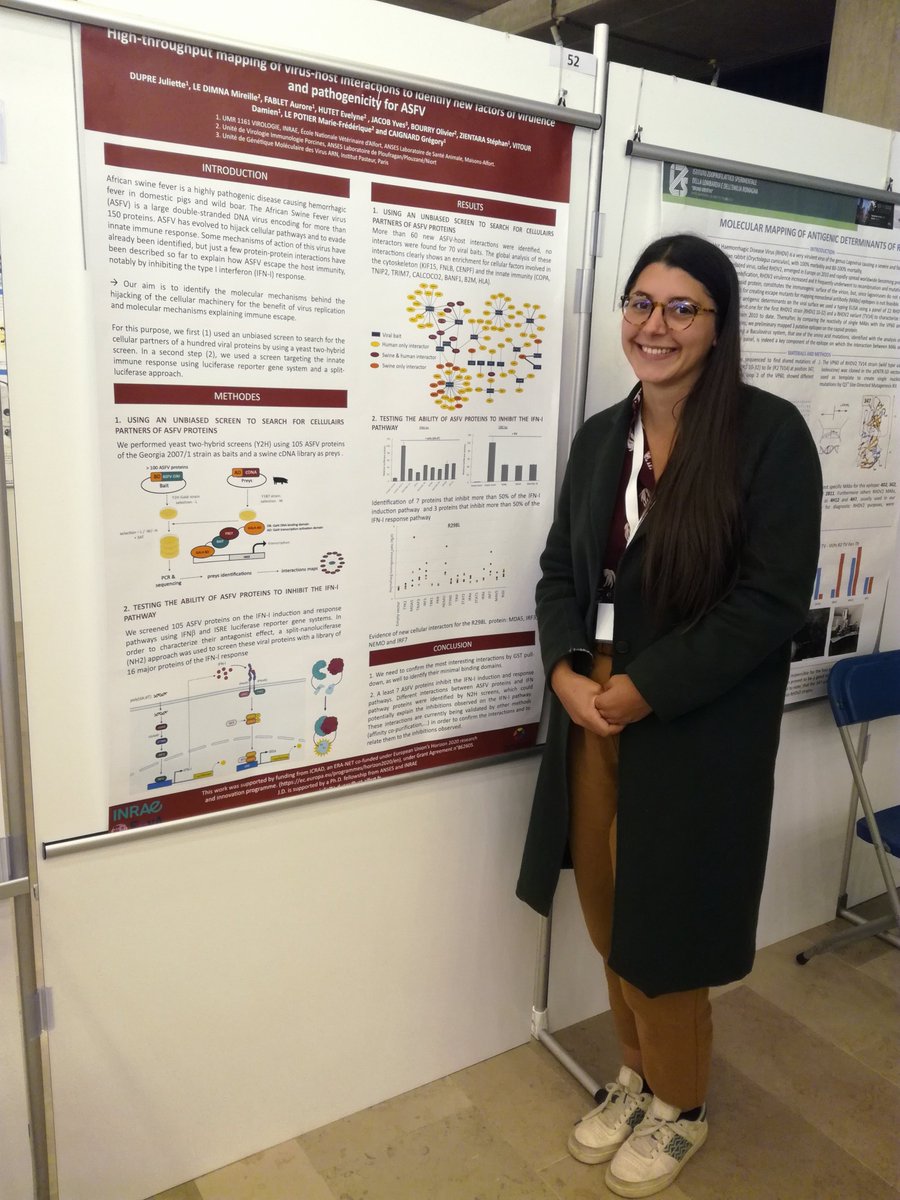 ASFVInt Project tweet media