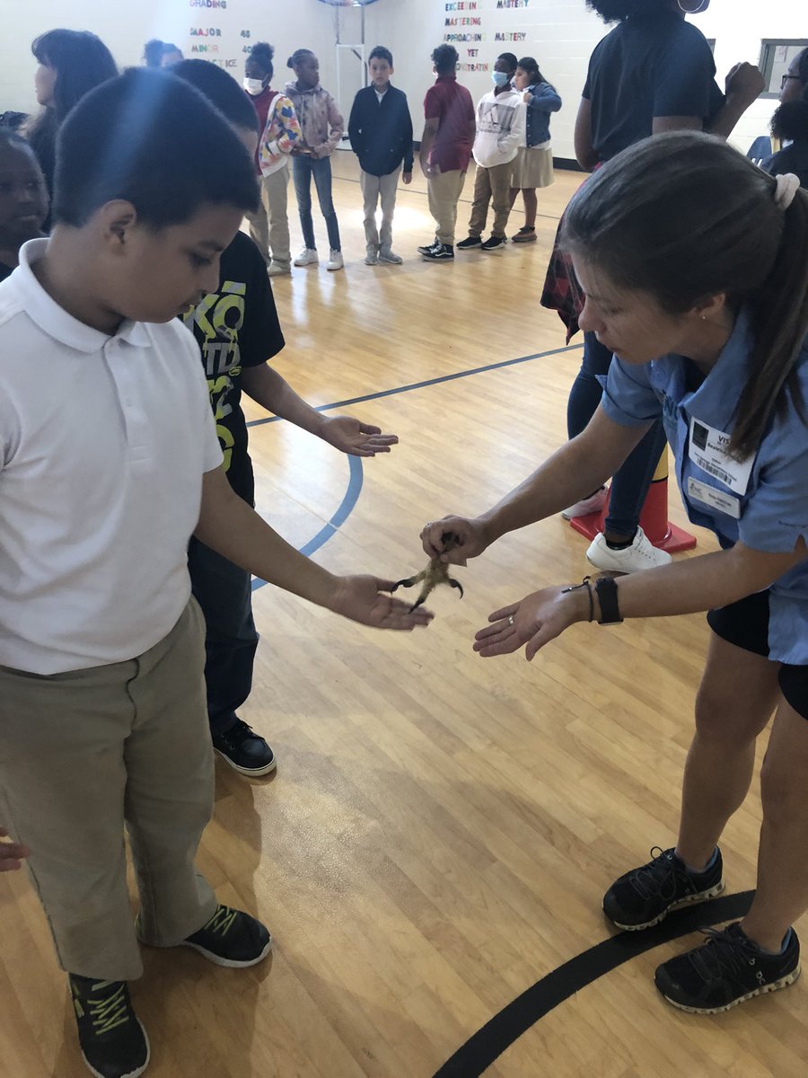 MissRogersNBHD's tweet photo. Our scholars gained more knowledge about red-tailed hawks today thanks to CNC. @ChattNature @IsonSpringsES #ISESlearninglab #InSchoolFieldTrip https://t.co/GUdvbYsYBe