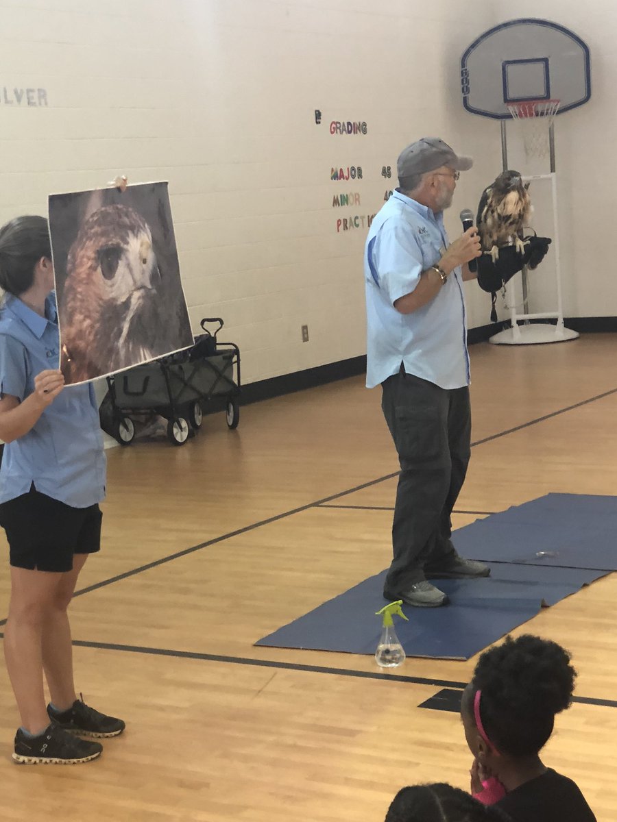 MissRogersNBHD's tweet photo. Our scholars gained more knowledge about red-tailed hawks today thanks to CNC. @ChattNature @IsonSpringsES #ISESlearninglab #InSchoolFieldTrip https://t.co/GUdvbYsYBe