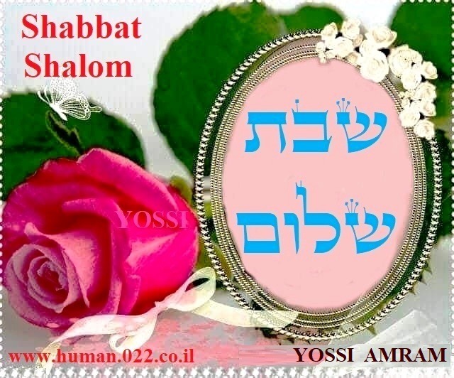 🌼Andrea אהבה (Love)🌼 on X: 🌿🌼 Shabbat #Shalom