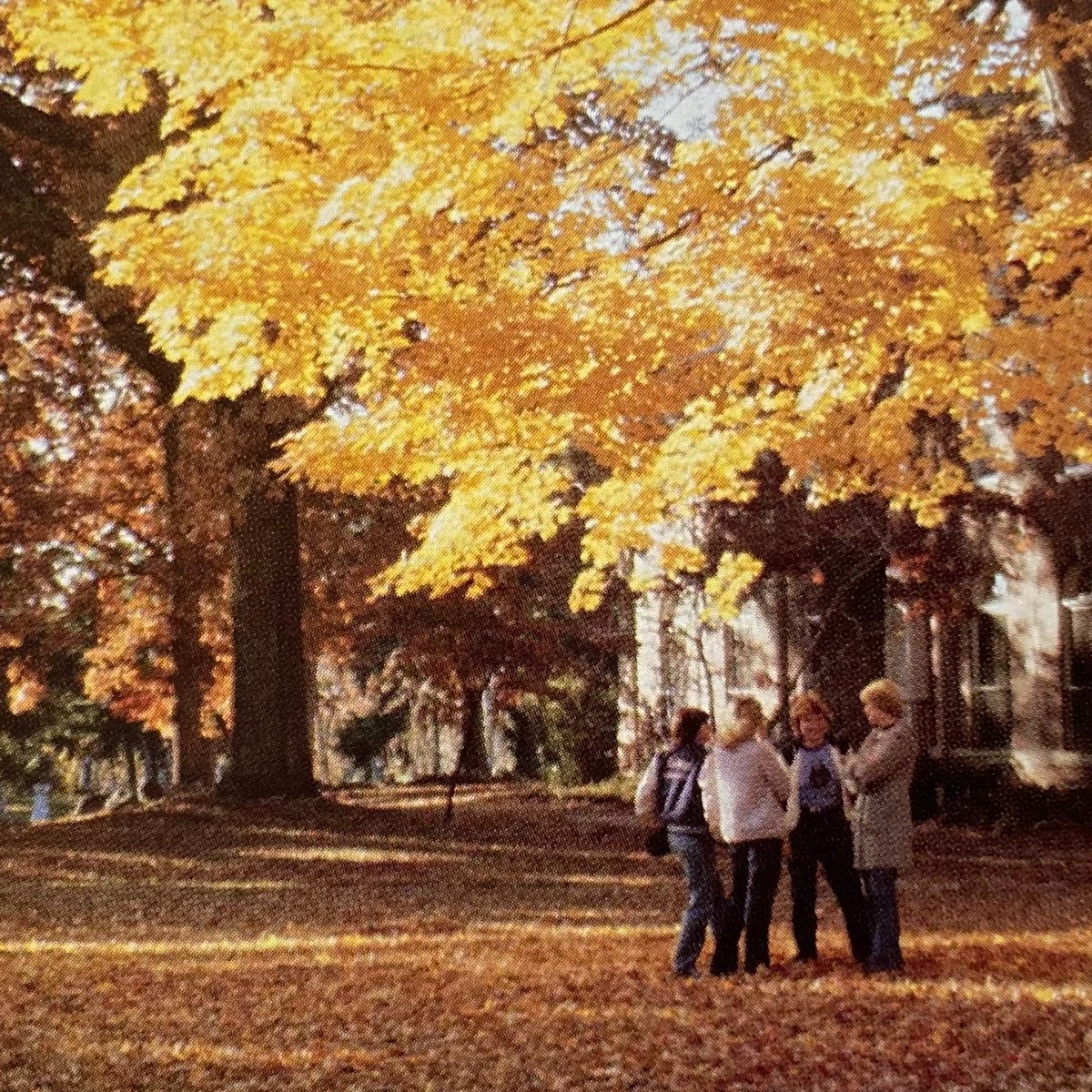 OC_Archives's tweet image. What is your favorite fall activity? Now that it's officially fall, we look back to 1986 Olivet campus with the beautiful colors.