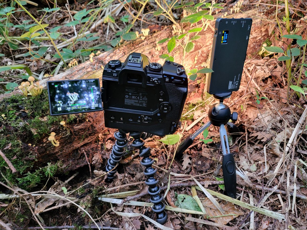 Christian Rogers (@chris_rogers73) on Twitter photo It's Fungi season! My first trip out using the Newell LED panel that I picked up at <a href="/ukphotoshow/">The Photography & Video Show</a>. In camera image stacked on my <a href="/OMSYSTEMcameras/">OM SYSTEM Cameras</a> and 60mm macro. #Fungi #fungiseason #autumn #fall #macro #macrophotography #olympus #omsystems It's Fungi season! My first trip out using the Newell LED panel that I picked up at <a href="/ukphotoshow/">The Photography & Video Show</a>. In camera image stacked on my <a href="/OMSYSTEMcameras/">OM SYSTEM Cameras</a> and 60mm macro. #Fungi #fungiseason #autumn #fall #macro #macrophotography #olympus #omsystems