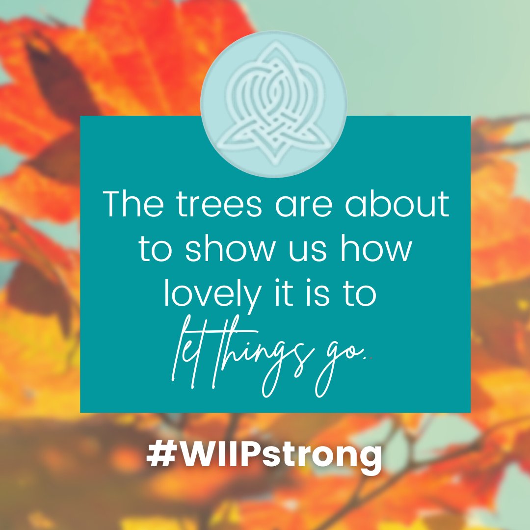 WiIP_WomeninIP's tweet photo. WiIP sisters on the east coast are getting a taste of fall weather today!
May we all learn a lesson from the trees as we head into a new season.
#FridayVibes #FridayThoughts #LetThingsGo #SeasonsChange #WiipStrong https://t.co/2Ofw1sNOkC