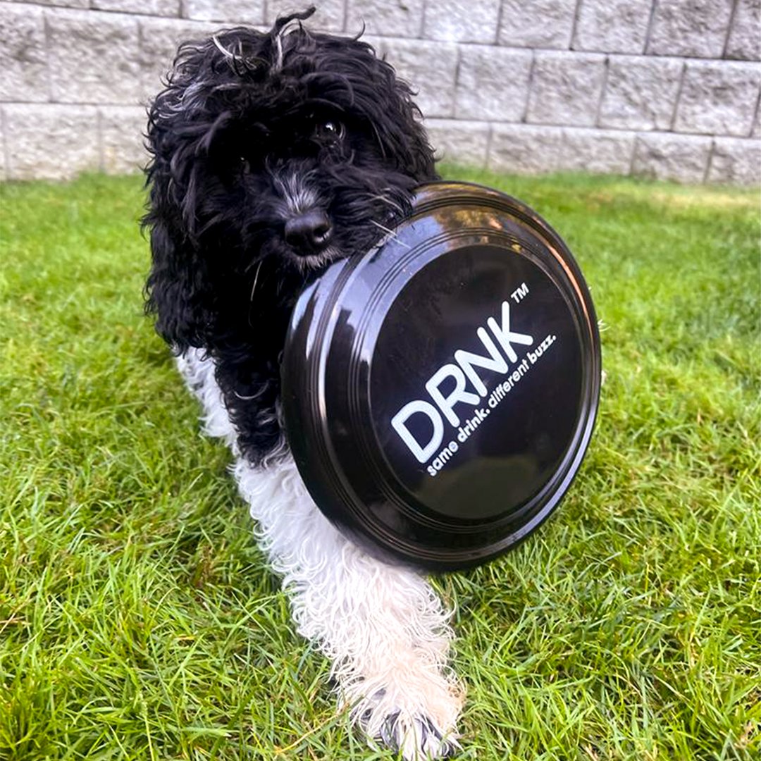 DrnkBev's tweet photo. DRNK -Approved by Oakley the Golden Doodle 🐶🐾
#drnkbev #samedrinkdifferentbuzz #letsgetsober #beverages #vancouverstartup #soberliving #newdrinks #sobercommunity #sobermotivation #dogsoftwitter #workdoggies #doglife #happydog #dogstagram https://t.co/5ZaUHIgmvE