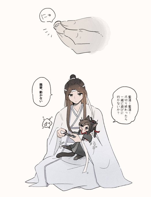 じっとできない🐱 
#忘羨 