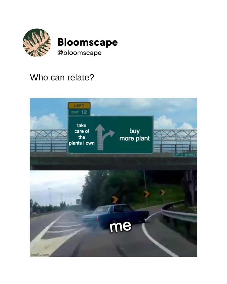 bloomscape's tweet photo. We're comfortable with our choices ๐โโ๏ธ
.
.
.
#bloomscape #meme #plantmeme https://t.co/iGxapQ3tsB