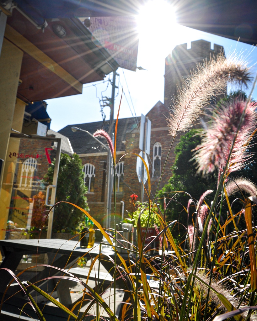 BroadviewDanBIA's tweet image. It is officially fall,  it that doesn’t mean we don’t get to enjoy sunny days any longer. Add some layers and enjoy a stroll on the Danforth with us. Happy Friday everyone! 

#danforthwalks #shopthedanforth #destinationdanforth #broadviewdanforth #eastofthedon