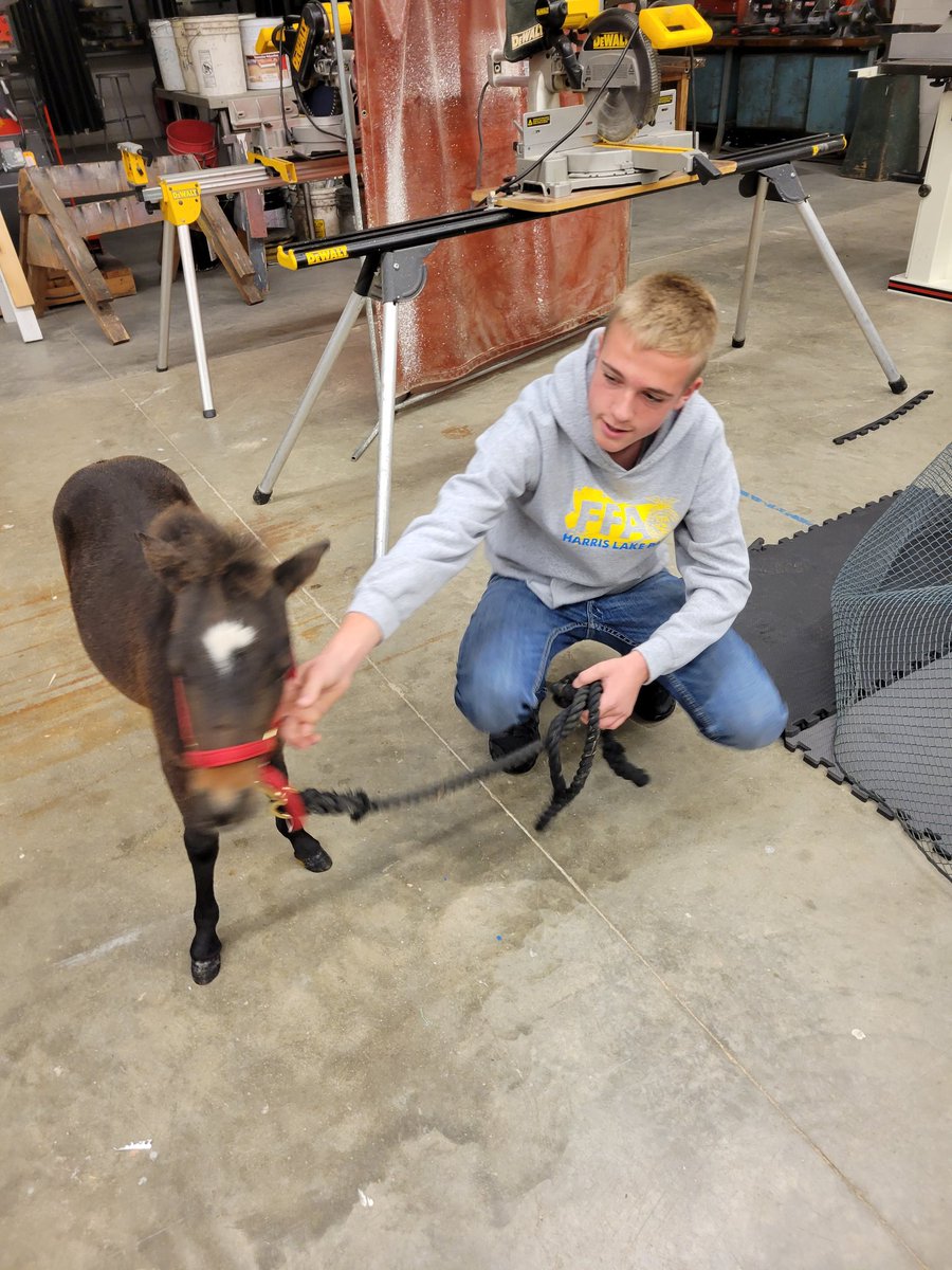 H-LP FFA tweet media