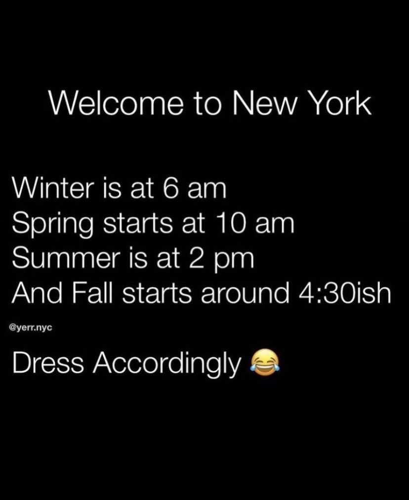 Newyorkcity_eth's tweet image. ✨Somebody said New York weather went from 90 to 55 like it saw a state trooper 🚨🚓@YerrNyc 🤣🤣 Good Morning 🤖☀️ #artofbread #web3 #blockchain #crypto #NYC 🍋