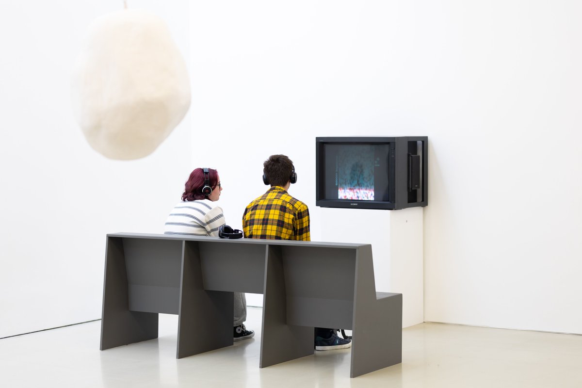 Site Gallery tweet media