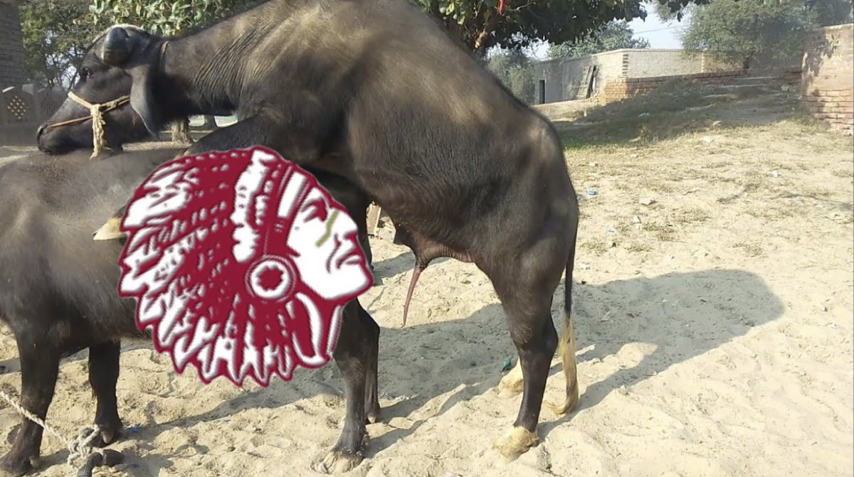Hays likes buffalo cock <a href="/BarstoolHysHigh/">Kaden</a>