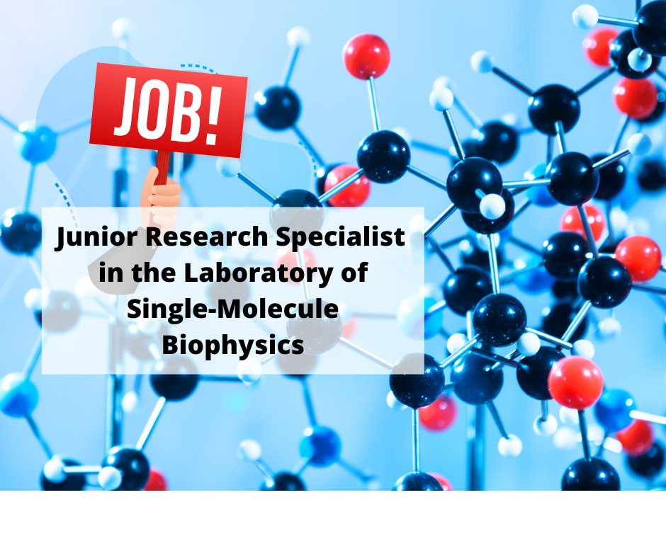 IIMCB, Warsaw, Poland (@iimcb_poland) on Twitter photo The newly created Laboratory of Single-Molecule Biophysics at the <a href="/IIMCB_Poland/">IIMCB, Warsaw, Poland</a> is inviting applications for a #JuniorResearchSpecialist.
Moređ bit.ly/3LJNDoo The newly created Laboratory of Single-Molecule Biophysics at the <a href="/IIMCB_Poland/">IIMCB, Warsaw, Poland</a> is inviting applications for a #JuniorResearchSpecialist.
Moređ bit.ly/3LJNDoo