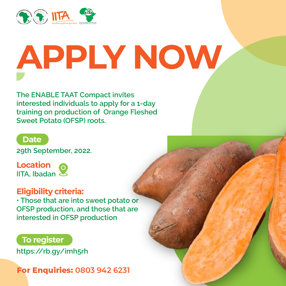IITAYOUTHAGRIP's tweet photo. To learn about orange fleshed sweet potato production and value addition, kindly apply here: https://t.co/cwz9meC9mo or https://t.co/E15s30aTlZ
#ENABLETAAT https://t.co/6ntFpR9dhF