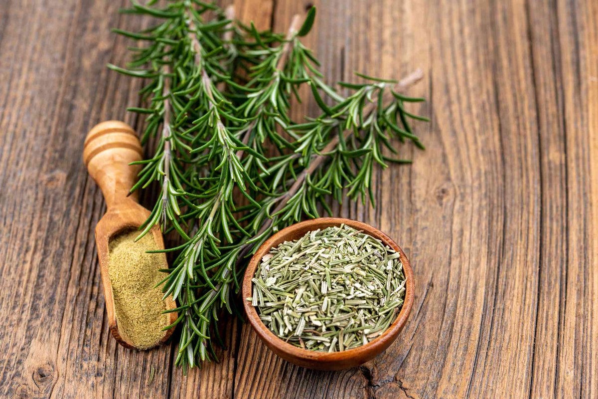 drkasenene's tweet photo. Rosemary has been shown to increase alertness and memory in the short term but long term it will reduce risk for dementia as you age.

If you value your brain, keep a pot of rosemary in your office or study and sniff the leaves often.

You can also use as a condiment on food. https://t.co/obzESxraTI