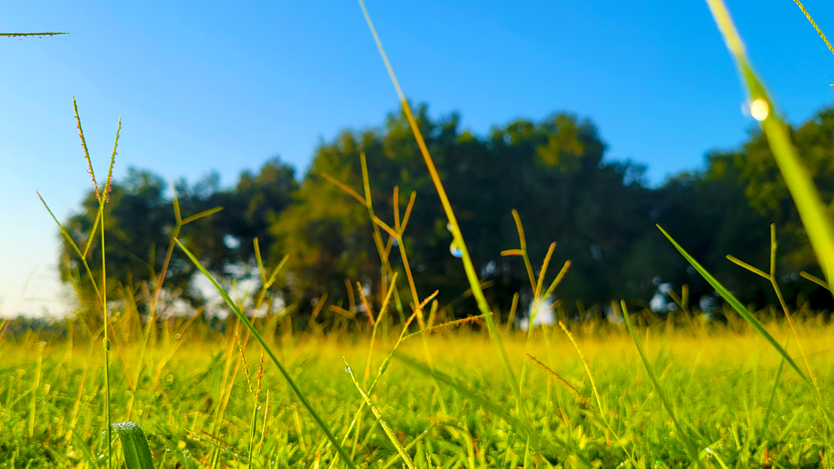 dpciwholesale's tweet photo. Beautiful Friday.... as they all are๐
#FridayFeeling #FridayVibes #weekend #photooftheday #photographs #NaturePhotography #Wholesale #Florida #WebsterFL #SumterCountyFlorida https://t.co/aNQvKL57Q8