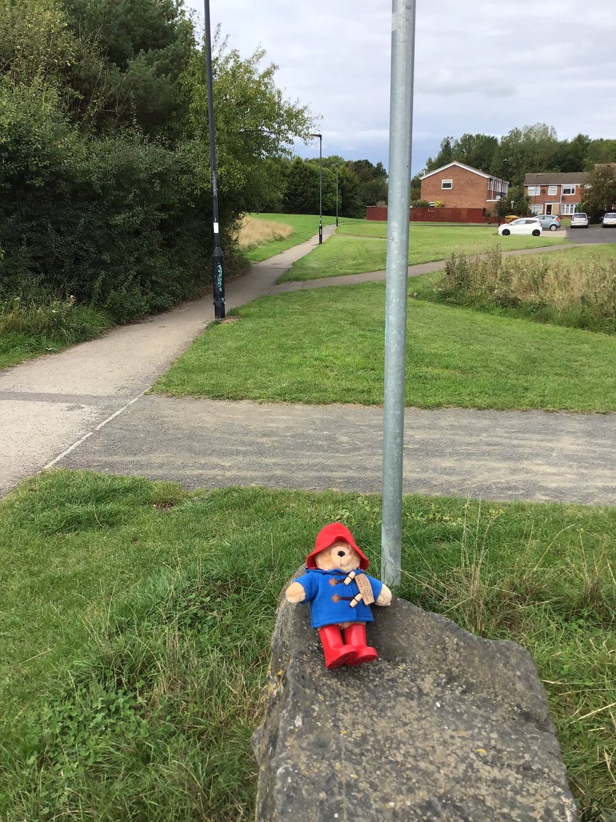 Year 1 had a fantastic walk around our local area, this week. We took Paddington on our walk and have been writing all about it in English. <a href="/BattleHillPS/">Battle Hill Primary</a> <a href="/MissWattsBattl1/">Miss Watts</a>