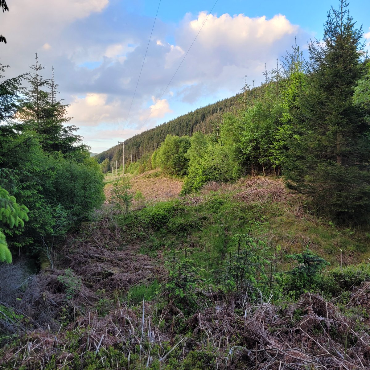 tisasillyplace_'s tweet photo. A trip over the border of Scotland from back in June. https://t.co/VEQ8w7T74Y