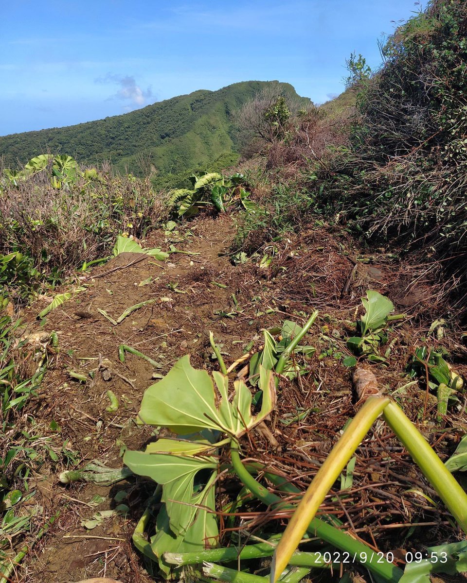 Prefet971's tweet photo. Le @png971 vous informe
⛔️Danger : sites fermés !
🚨L’accès du public au Grand étang &amp; au sommet de la Soufrière est temporairement interdit.
Suite au passage de la #tempêteFiona, les agents du PNG, de l'ONF, du Département ont inspecté les sites de la #Soufrière &amp; du #GrandEtang https://t.co/LlHh00Q0Lt