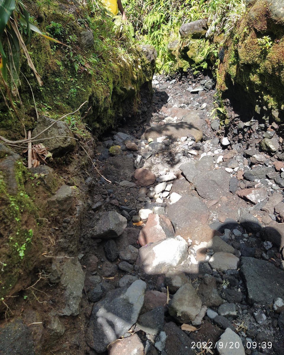 Prefet971's tweet photo. Le @png971 vous informe
⛔️Danger : sites fermés !
🚨L’accès du public au Grand étang &amp; au sommet de la Soufrière est temporairement interdit.
Suite au passage de la #tempêteFiona, les agents du PNG, de l'ONF, du Département ont inspecté les sites de la #Soufrière &amp; du #GrandEtang https://t.co/LlHh00Q0Lt
