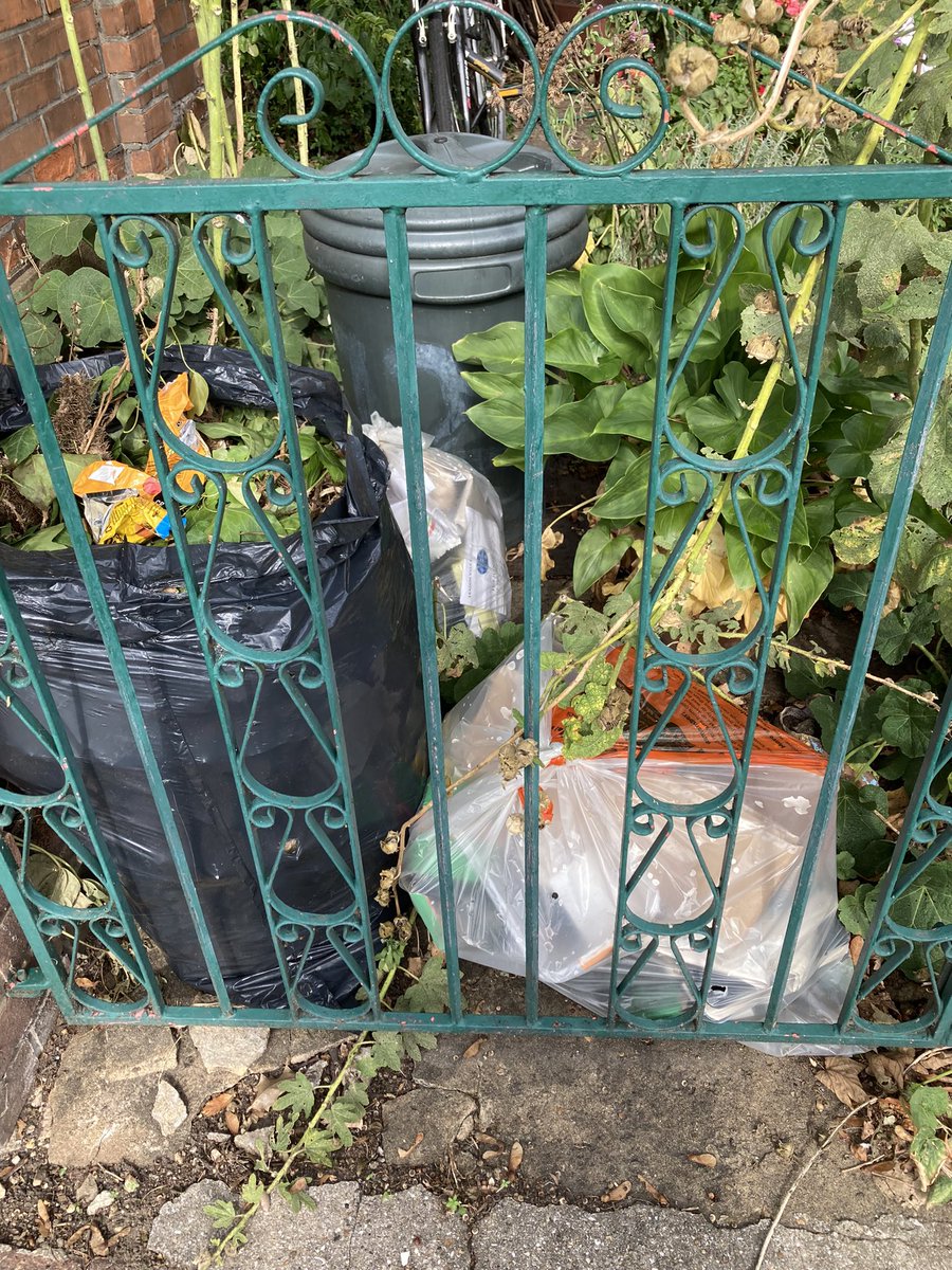 Sarah McDermott tweet media