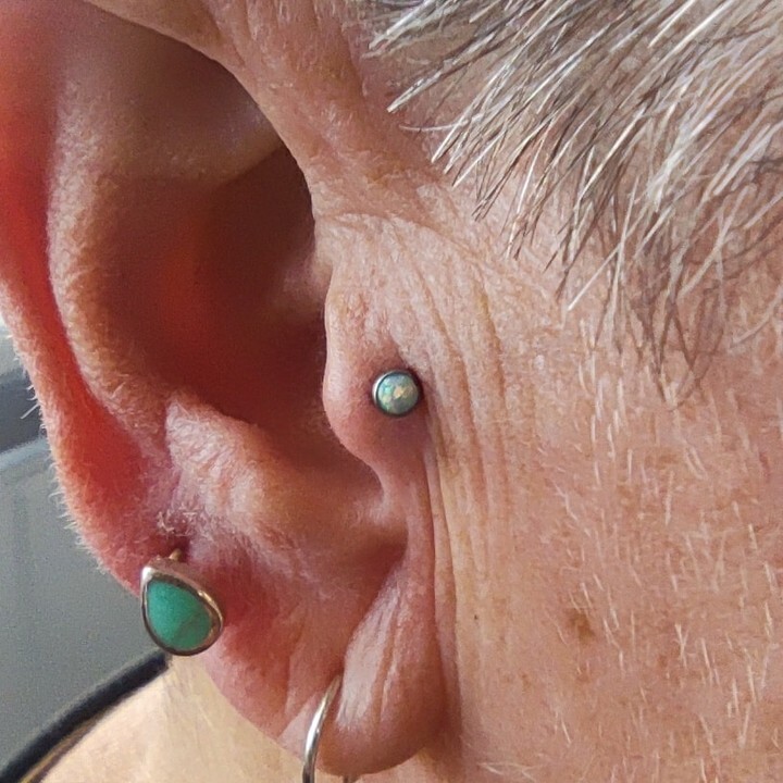 DaisyPinkushion's tweet photo. #traguspiercing with an Elite Collection synthetic opal stud.

#tragus #tragusjewellery #earpiercing #earjewellery #piercinginledbury #piercinginherefordshire #piercinginthethreecounties #piercedtragus #piercedear #ledbury #ledburypiercer #ledburypiercing #herefordshirepierc… https://t.co/WBOkX6vtXO