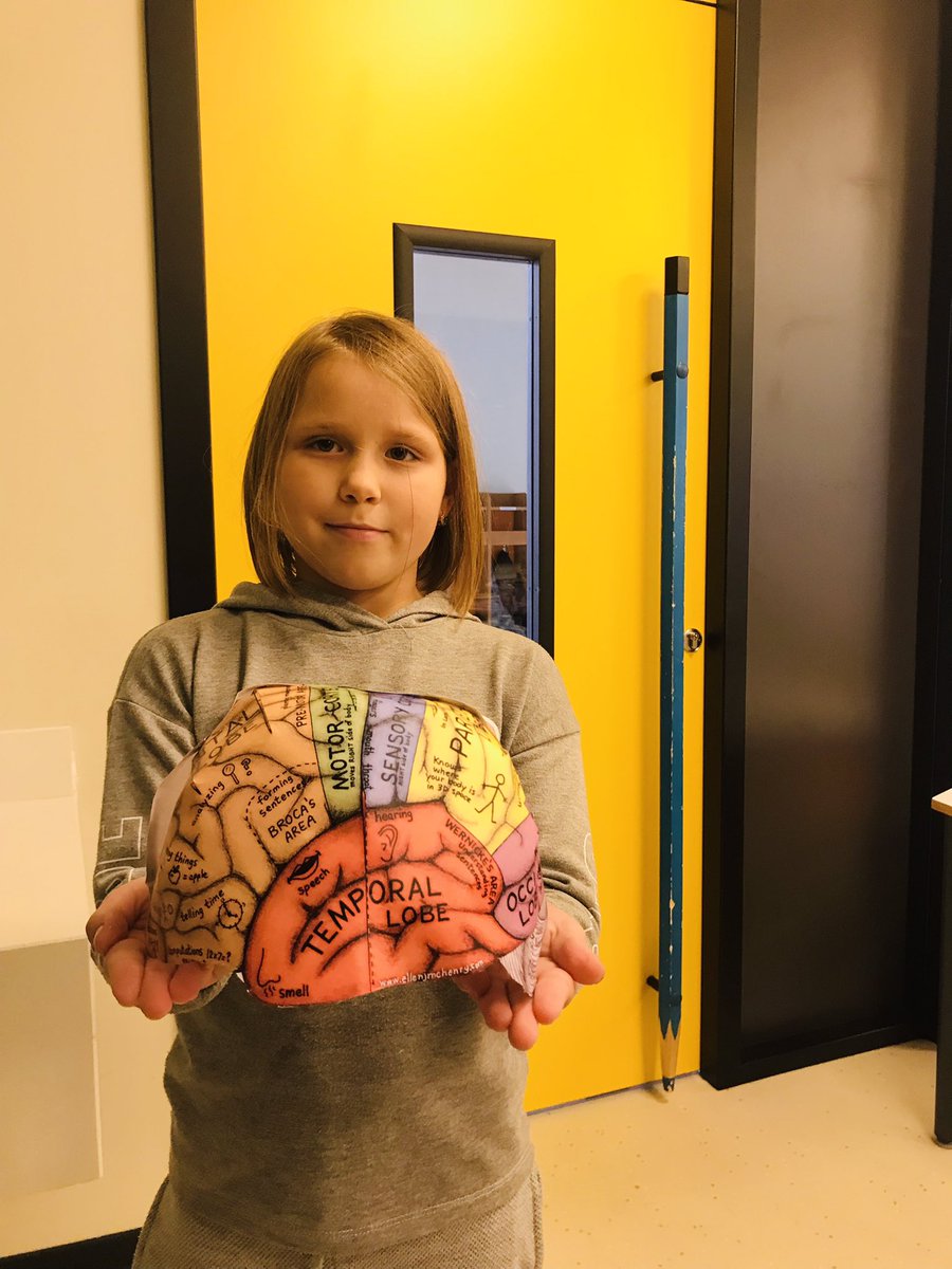 AMosailova's tweet photo. Even these little guys are #discovering brain and its parts on exciting IPC lessons @HisIpc My hardworking students and their masterpieces. @HIS_Moldova @HeritagePrimary @The_IPC @HisIpc @HeritageScienc3 https://t.co/9qC7as0CTk