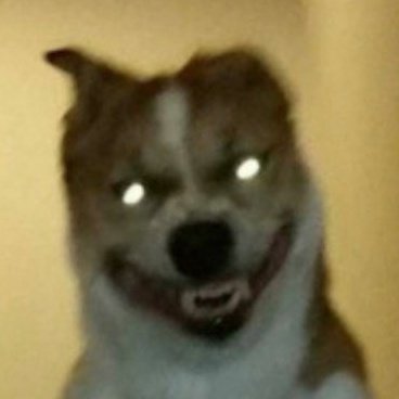 archive, check bio (@relxctance) on Twitter photo 