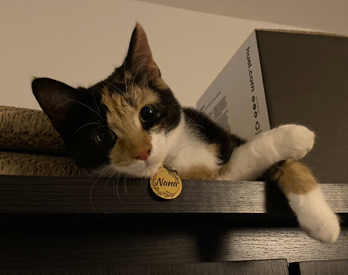 Sam Challis tweet media