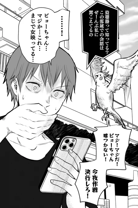 インコちゃんは伝えたい5 